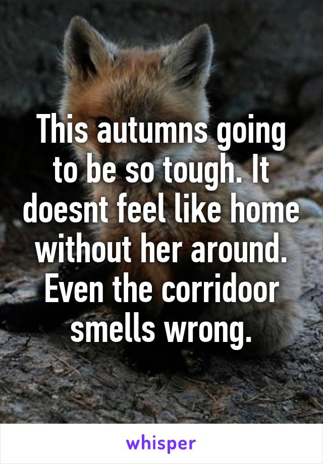 This autumns going to be so tough. It doesnt feel like home without her around. Even the corridoor smells wrong.