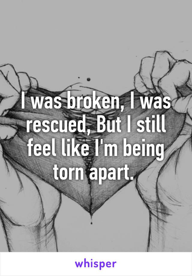 I was broken, I was rescued, But I still feel like I'm being torn apart. 