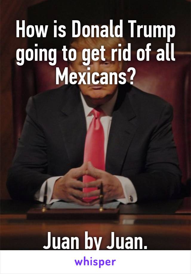 How is Donald Trump going to get rid of all Mexicans?






Juan by Juan.