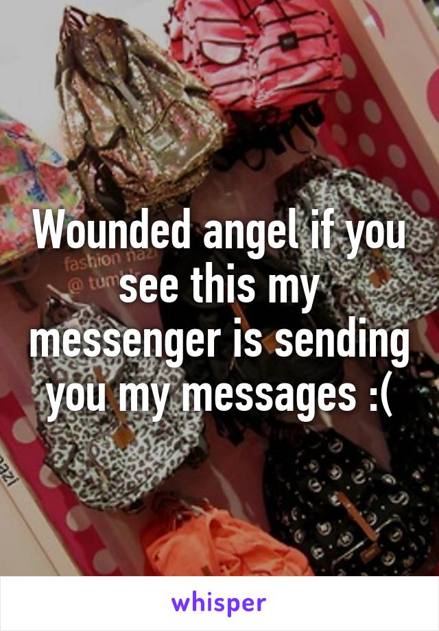 Wounded angel if you see this my messenger is sending you my messages :(