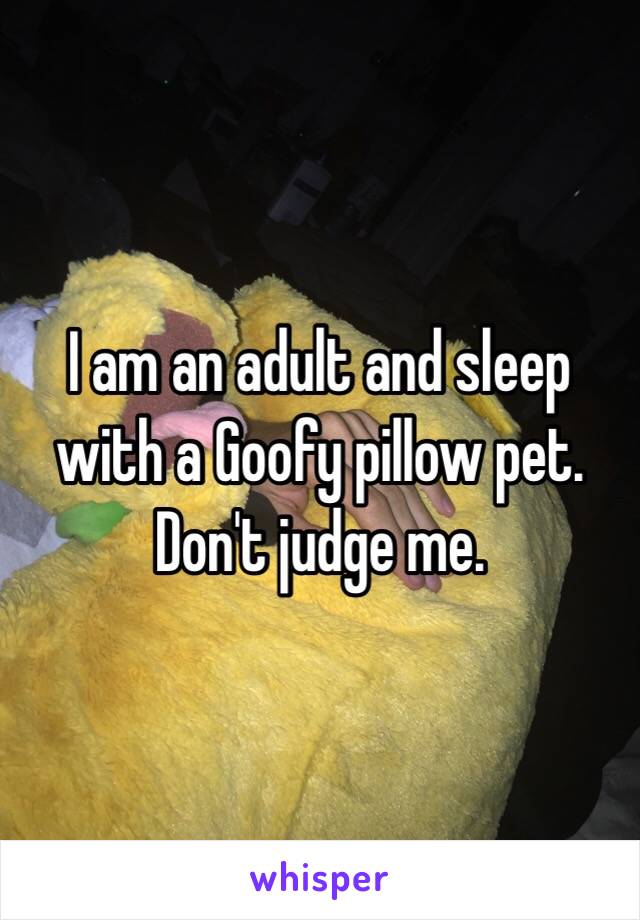 I am an adult and sleep with a Goofy pillow pet. Don't judge me.