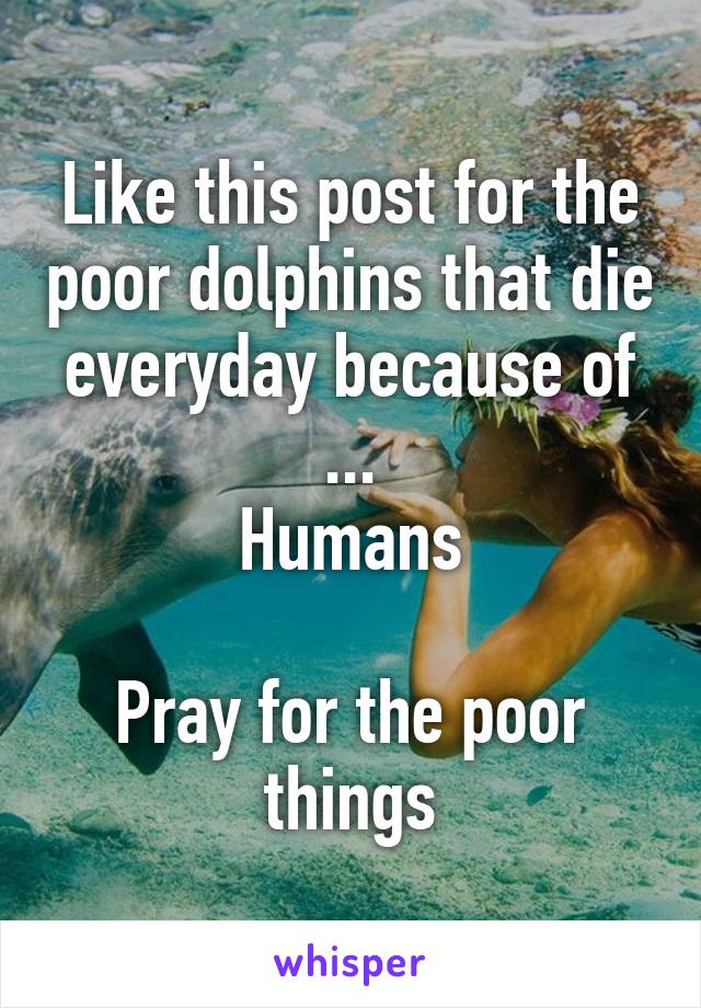 Like this post for the poor dolphins that die everyday because of
...
Humans

Pray for the poor things