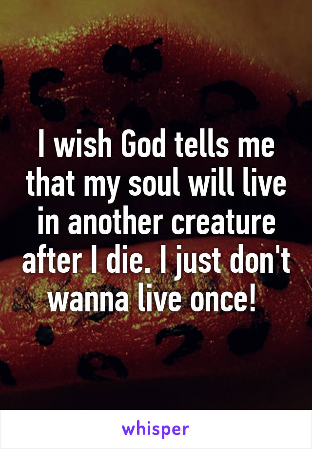 I wish God tells me that my soul will live in another creature after I die. I just don't wanna live once! 