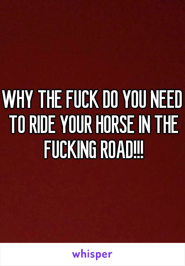 WHY THE FUCK DO YOU NEED TO RIDE YOUR HORSE IN THE FUCKING ROAD!!!