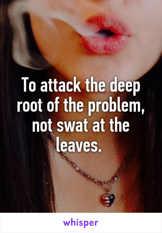 To attack the deep root of the problem, not swat at the leaves. 