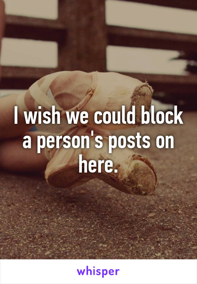 I wish we could block a person's posts on here.