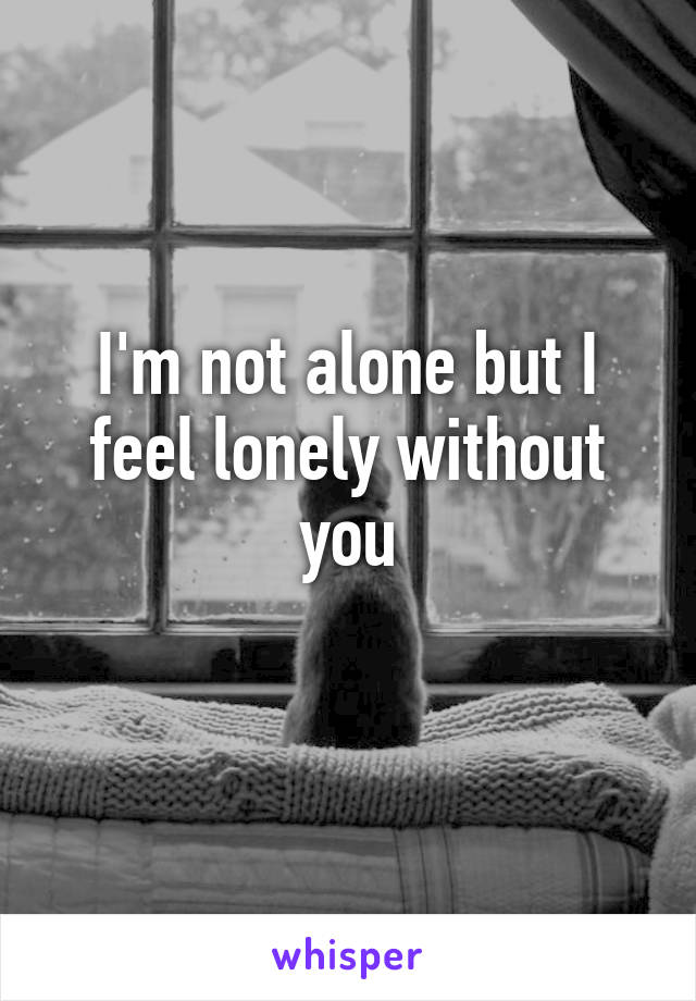 I'm not alone but I feel lonely without you
