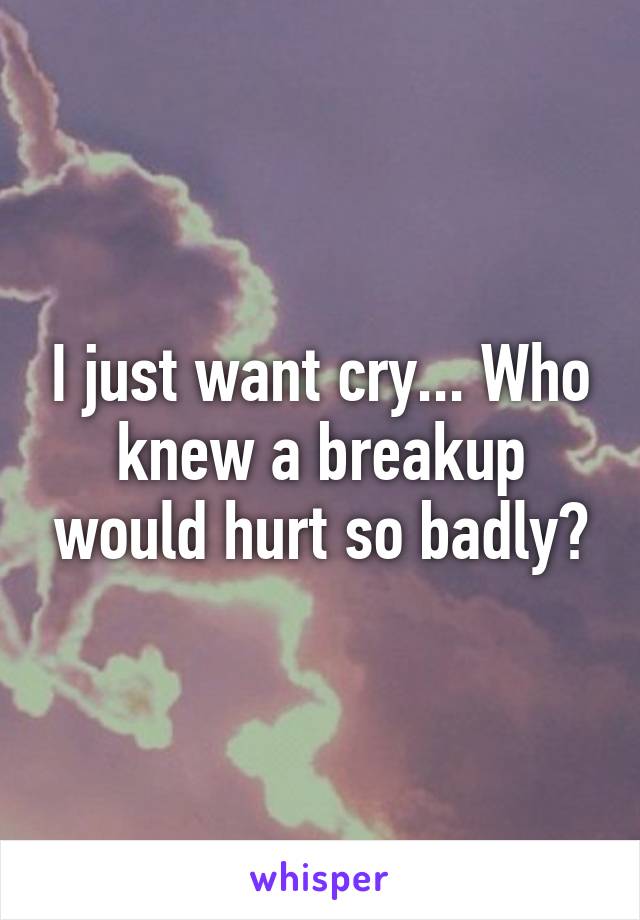 I just want cry... Who knew a breakup would hurt so badly?