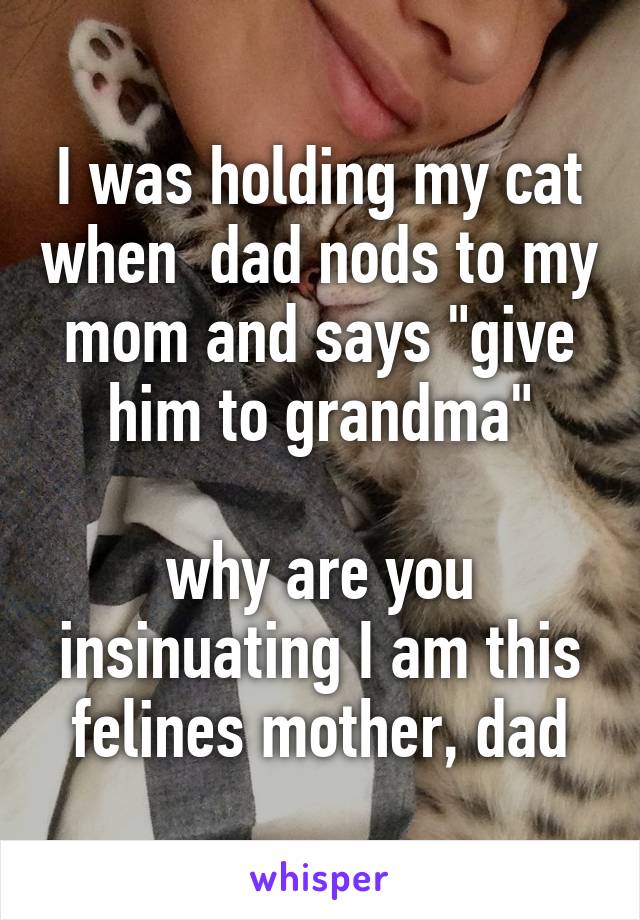 I was holding my cat when  dad nods to my mom and says "give him to grandma"

why are you insinuating I am this felines mother, dad