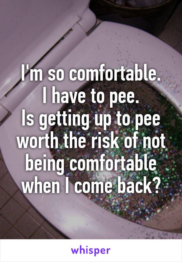 I'm so comfortable.
I have to pee.
Is getting up to pee worth the risk of not being comfortable when I come back?