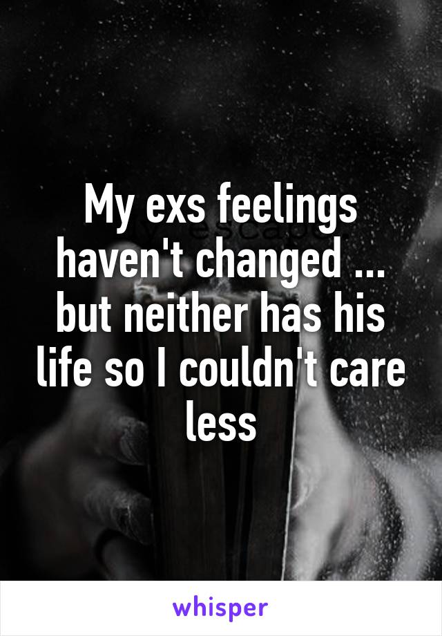 My exs feelings haven't changed ... but neither has his life so I couldn't care less