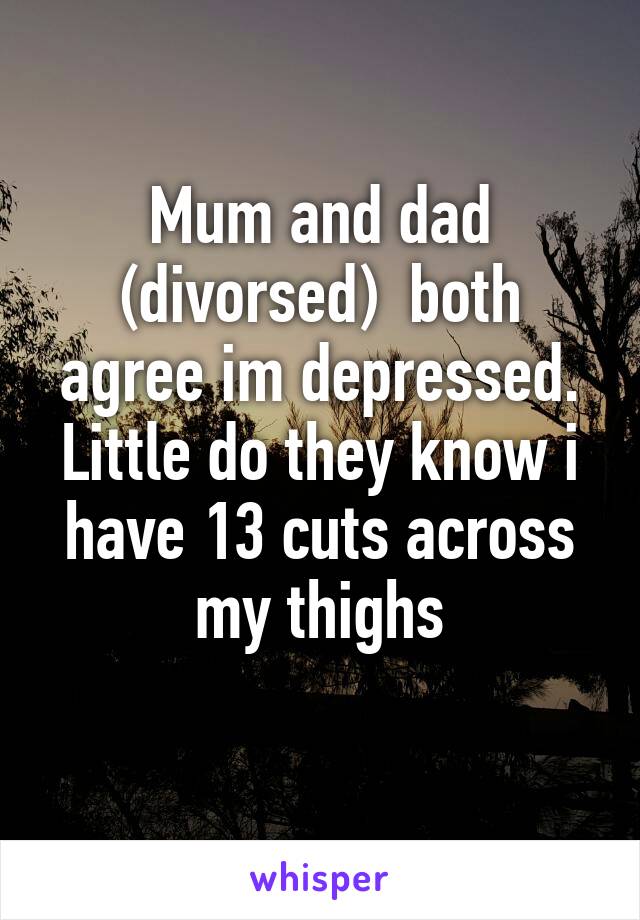 Mum and dad (divorsed)  both agree im depressed. Little do they know i have 13 cuts across my thighs
