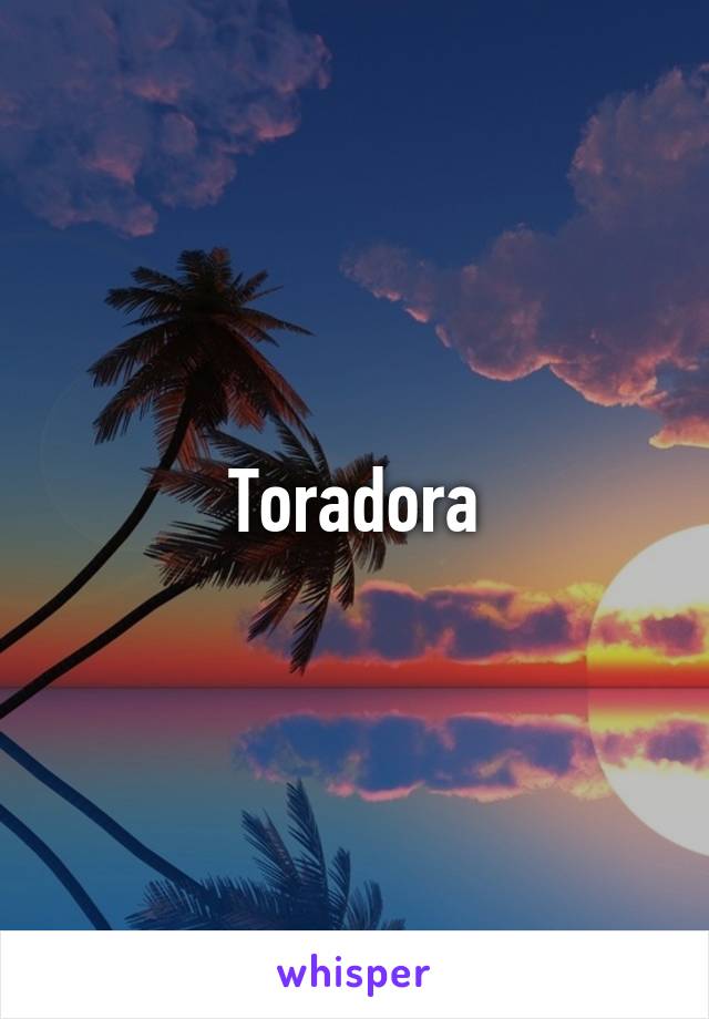 Toradora