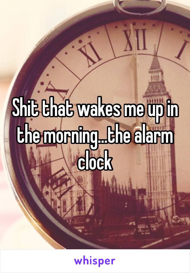 Shit that wakes me up in the morning…the alarm clock 