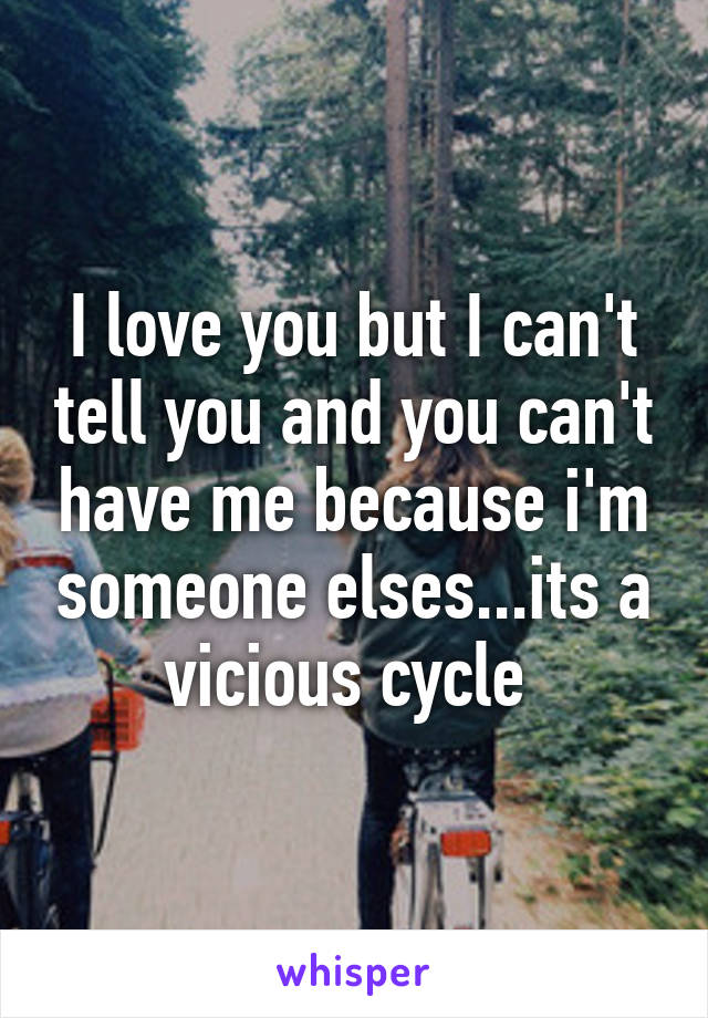 I love you but I can't tell you and you can't have me because i'm someone elses...its a vicious cycle 