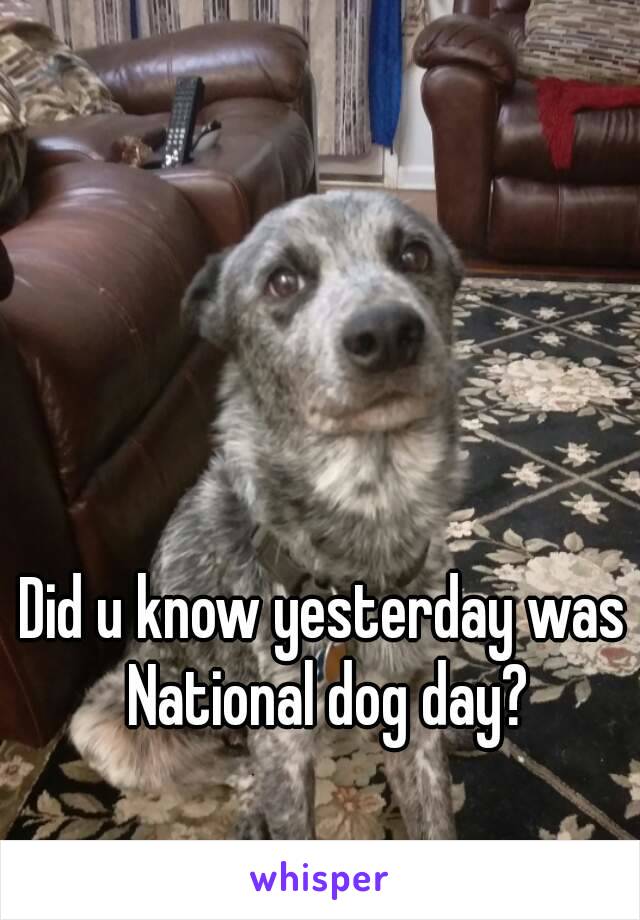 Did u know yesterday was National dog day?