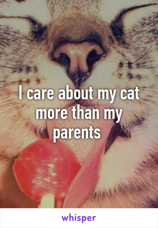 I care about my cat more than my parents 