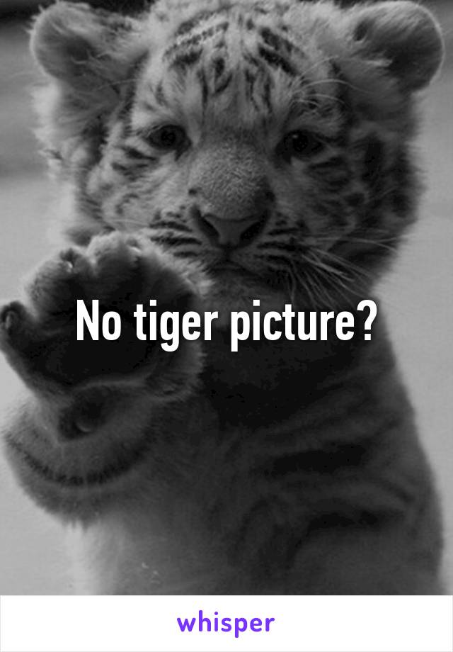 No tiger picture?