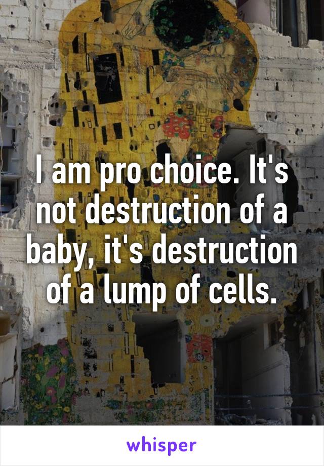 I am pro choice. It's not destruction of a baby, it's destruction of a lump of cells.