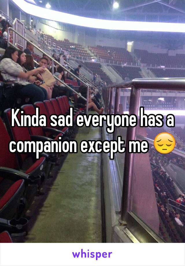 Kinda sad everyone has a companion except me 😔