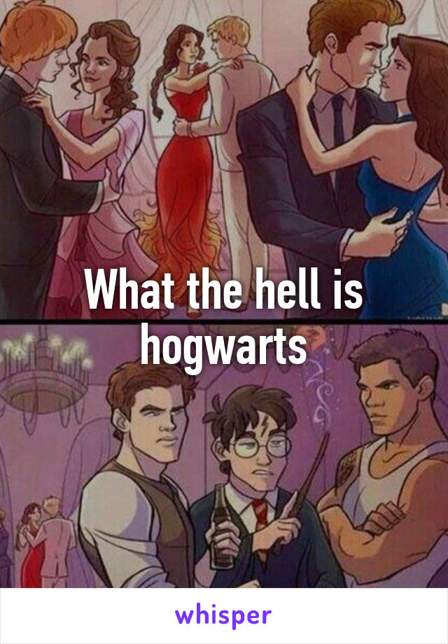 What the hell is hogwarts