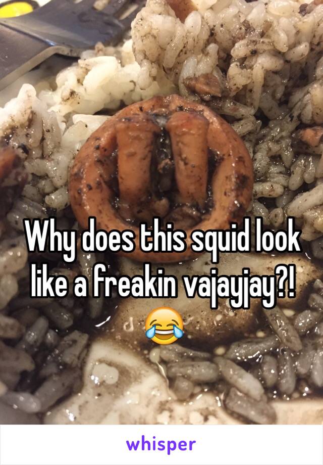 Why does this squid look like a freakin vajayjay?! 😂