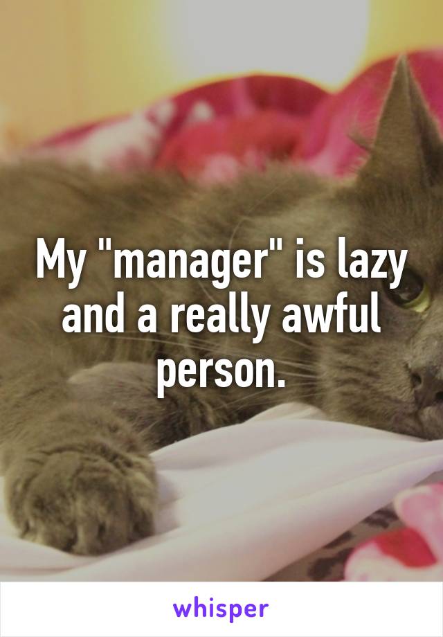 My "manager" is lazy and a really awful person.