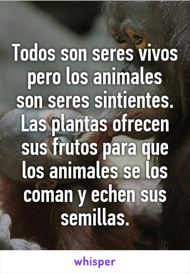 Todos son seres vivos pero los animales son seres sintientes.
Las plantas ofrecen sus frutos para que los animales se los coman y echen sus semillas.