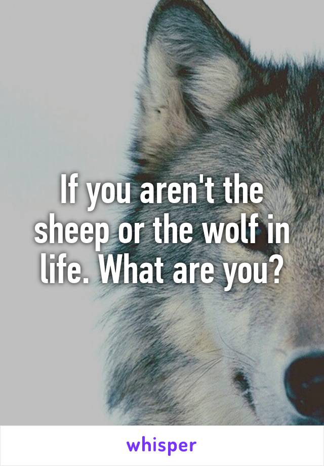 If you aren't the sheep or the wolf in life. What are you?