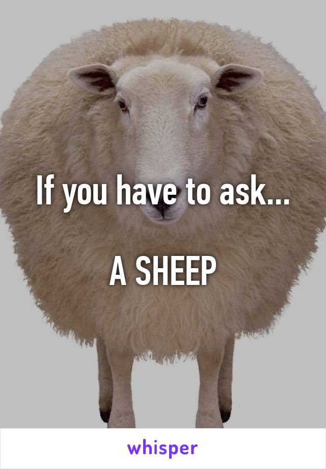 If you have to ask...

A SHEEP