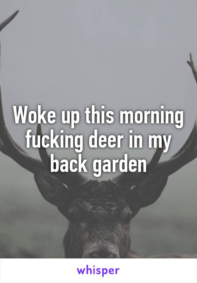 Woke up this morning fucking deer in my back garden