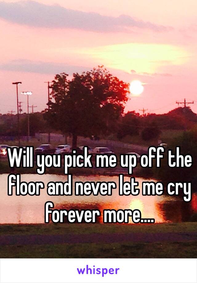 Will you pick me up off the floor and never let me cry forever more.... 