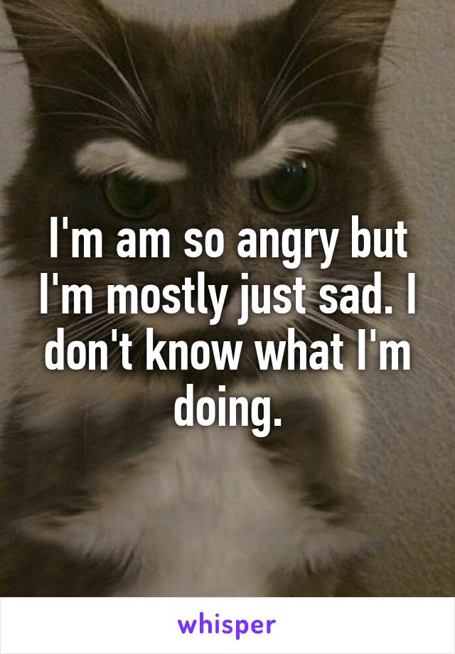 I'm am so angry but I'm mostly just sad. I don't know what I'm doing.