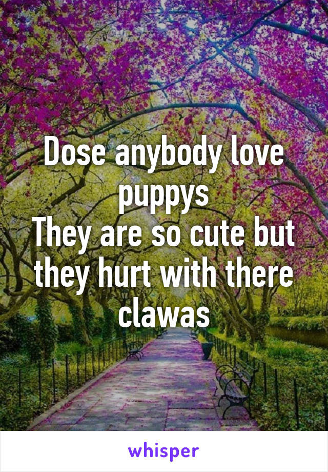 Dose anybody love puppys
They are so cute but they hurt with there clawas