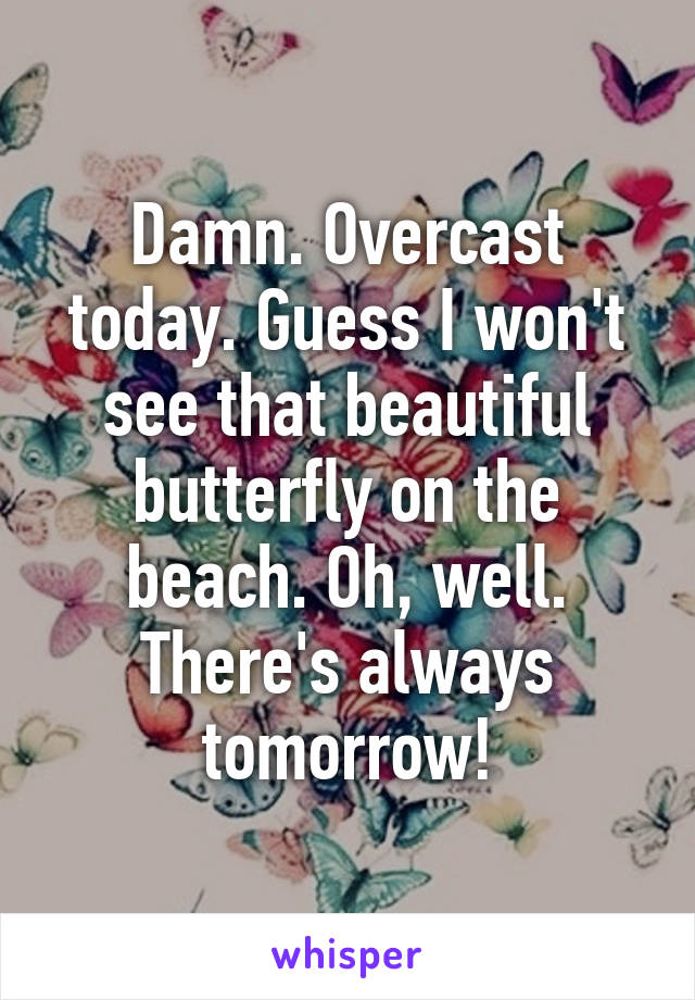 Damn. Overcast today. Guess I won't see that beautiful butterfly on the beach. Oh, well. There's always tomorrow!