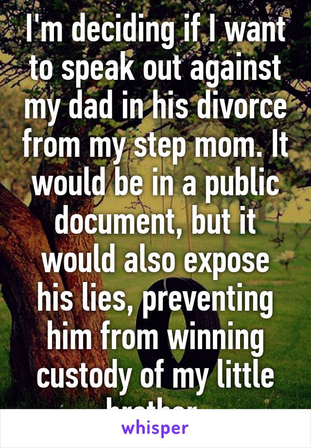 I'm deciding if I want to speak out against my dad in his divorce from my step mom. It would be in a public document, but it would also expose his lies, preventing him from winning custody of my little brother.