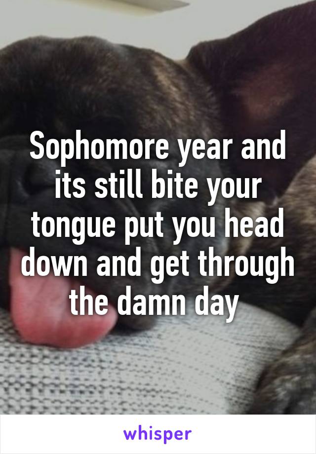 Sophomore year and its still bite your tongue put you head down and get through the damn day 