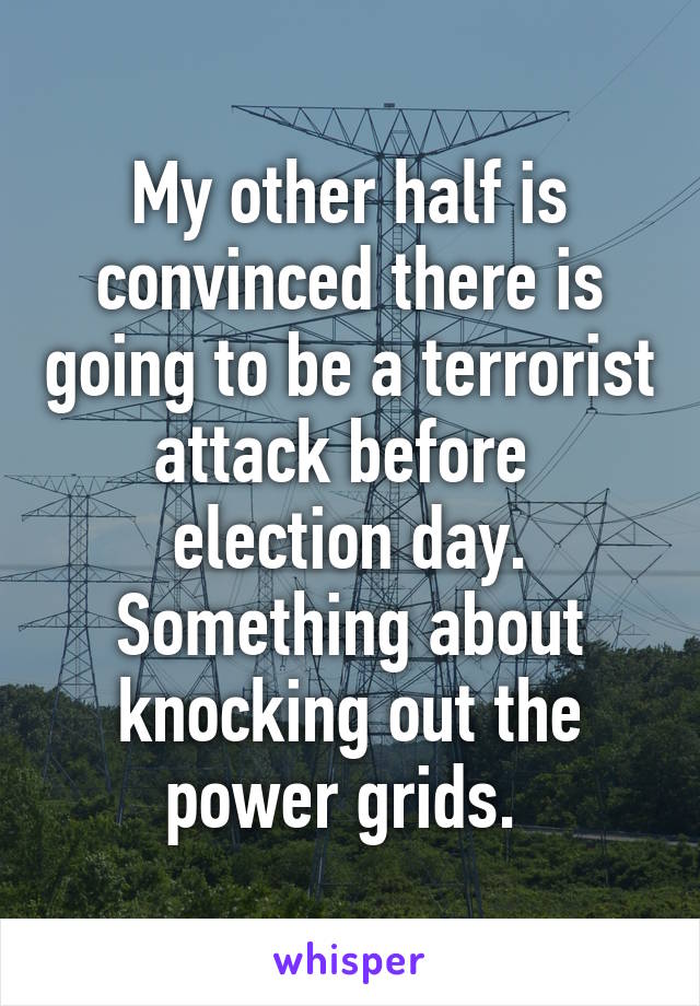 My other half is convinced there is going to be a terrorist attack before  election day. Something about knocking out the power grids. 