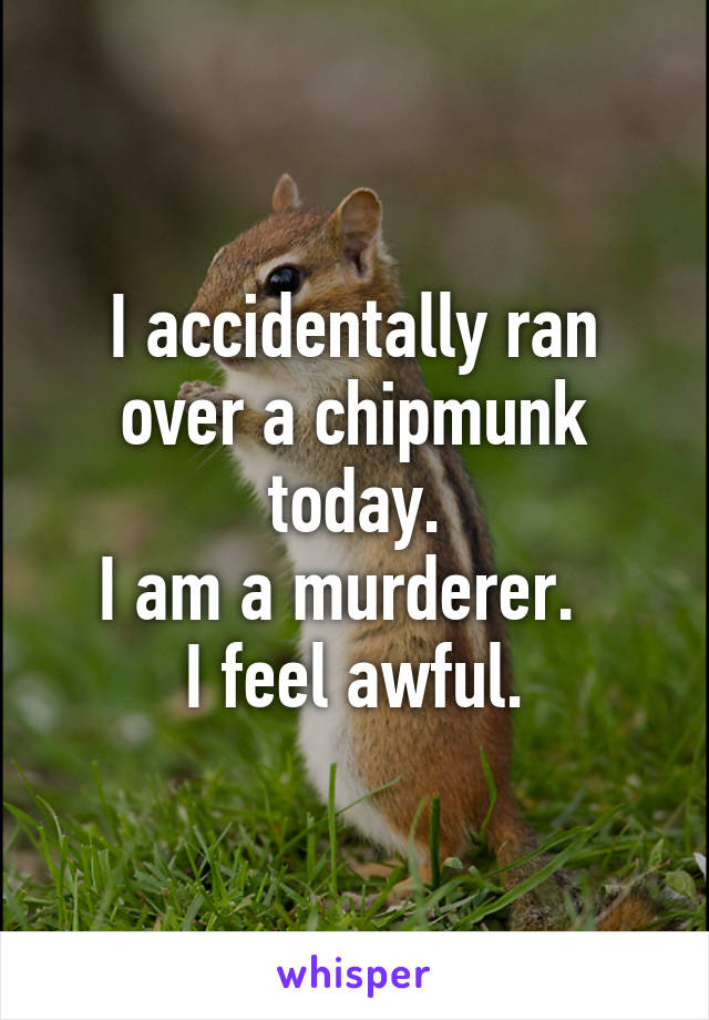 I accidentally ran over a chipmunk today.
I am a murderer.  
I feel awful.