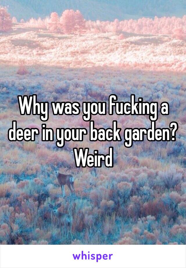 Why was you fucking a deer in your back garden? Weird 