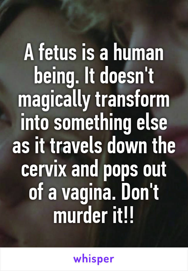 A fetus is a human being. It doesn't magically transform into something else as it travels down the cervix and pops out of a vagina. Don't murder it!!