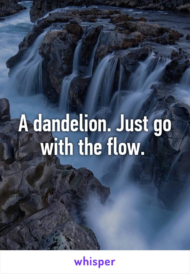 A dandelion. Just go with the flow. 