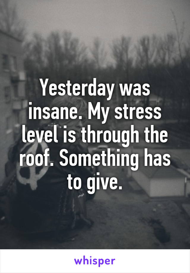 Yesterday was insane. My stress level is through the roof. Something has to give.