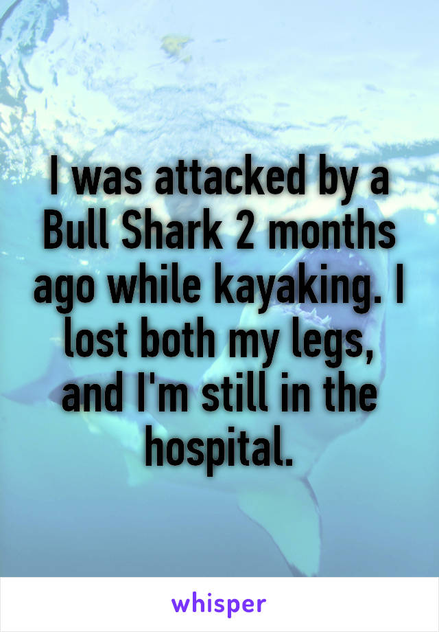 I was attacked by a Bull Shark 2 months ago while kayaking. I lost both my legs, and I'm still in the hospital.