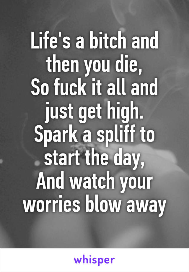 Life's a bitch and then you die,
So fuck it all and just get high.
Spark a spliff to start the day,
And watch your worries blow away
