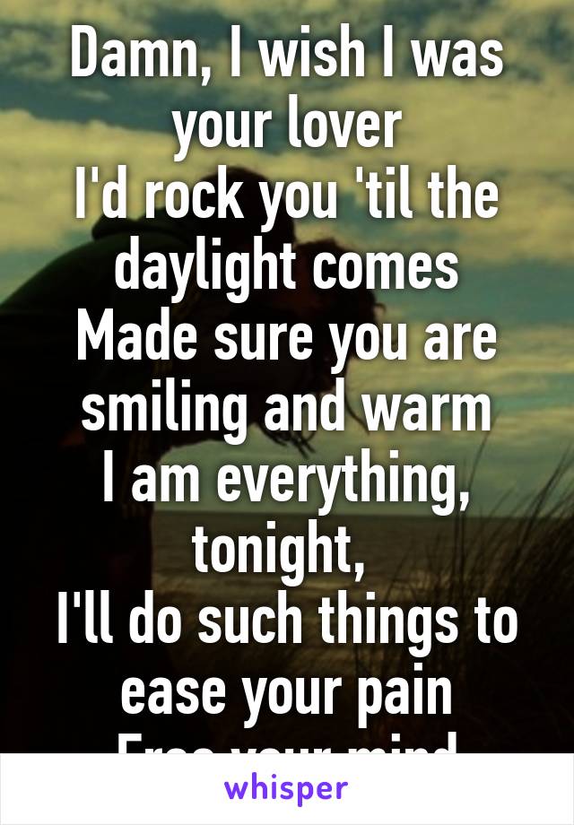 Damn, I wish I was your lover
I'd rock you 'til the daylight comes
Made sure you are smiling and warm
I am everything, tonight, 
I'll do such things to ease your pain
Free your mind