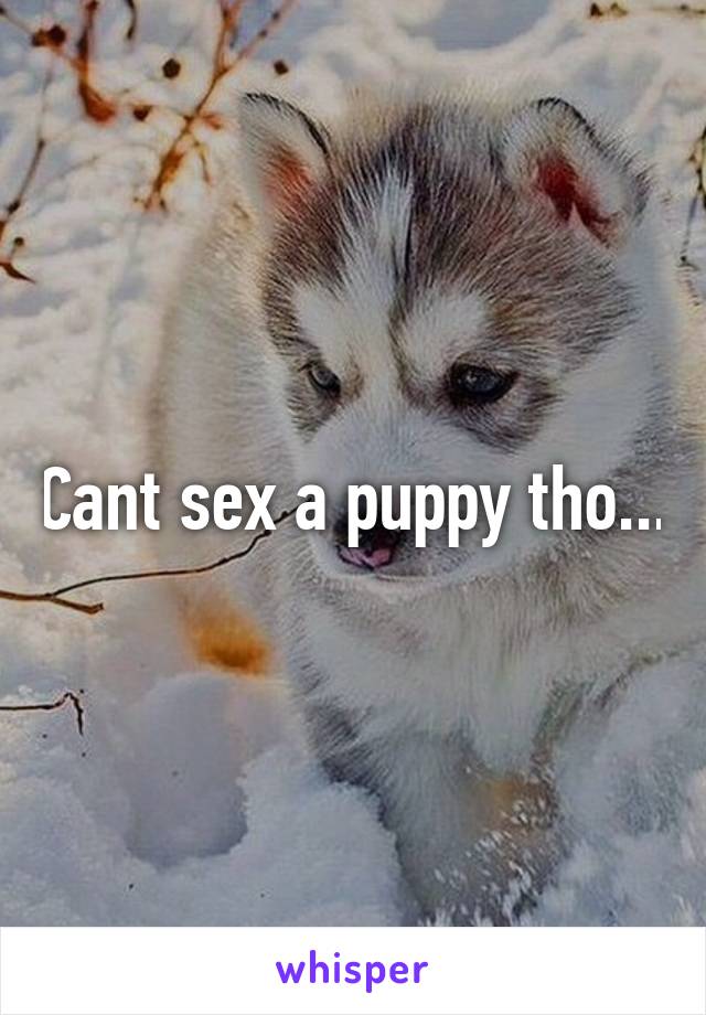 Cant sex a puppy tho...