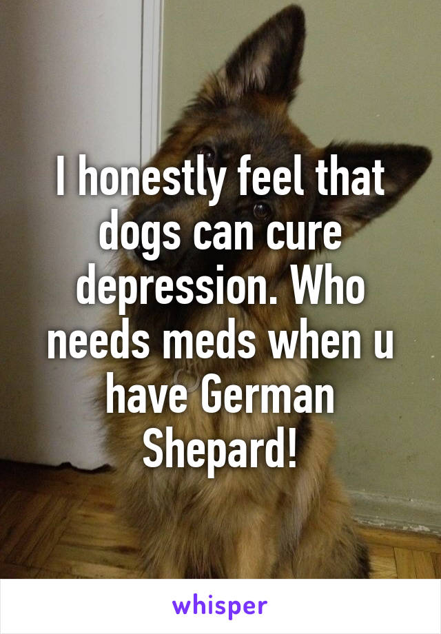 I honestly feel that dogs can cure depression. Who needs meds when u have German Shepard!