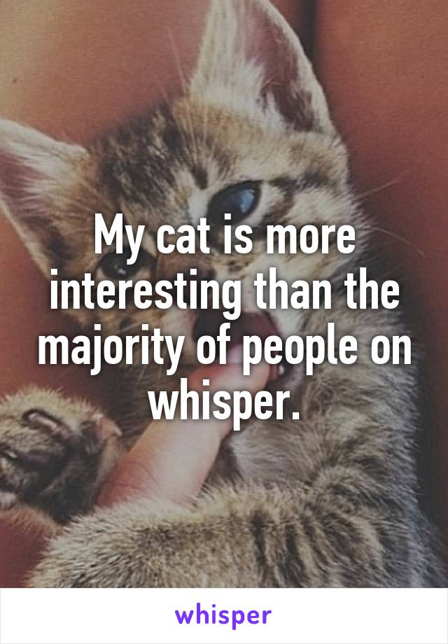 My cat is more interesting than the majority of people on whisper.