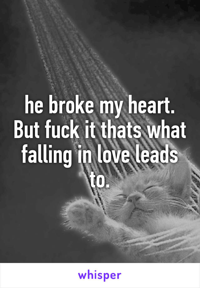 he broke my heart. But fuck it thats what falling in love leads to.